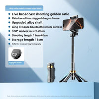 bd64703d-ff03-4355-a46c-77efc0122661